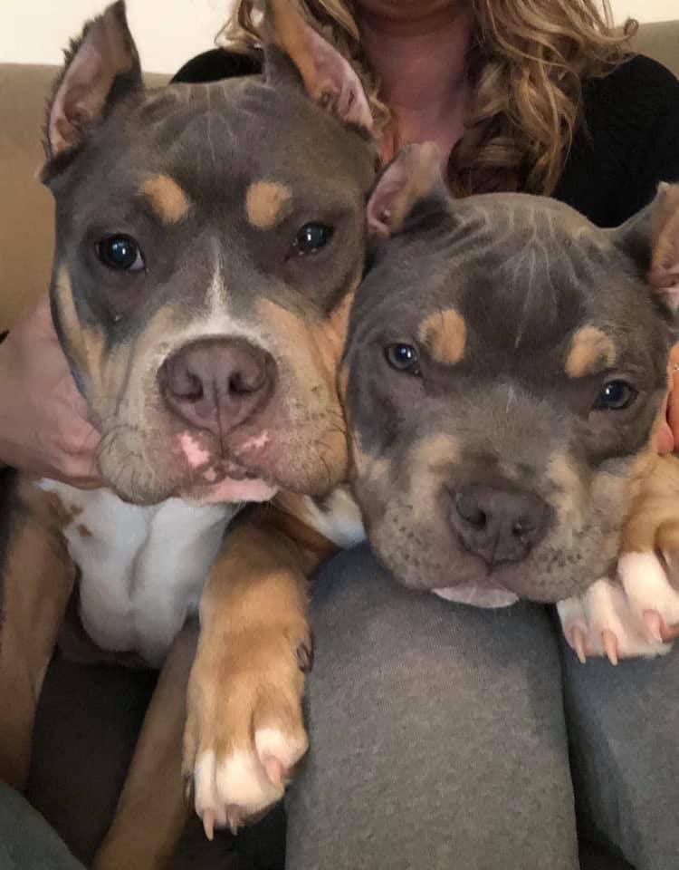 Zara and Zeke